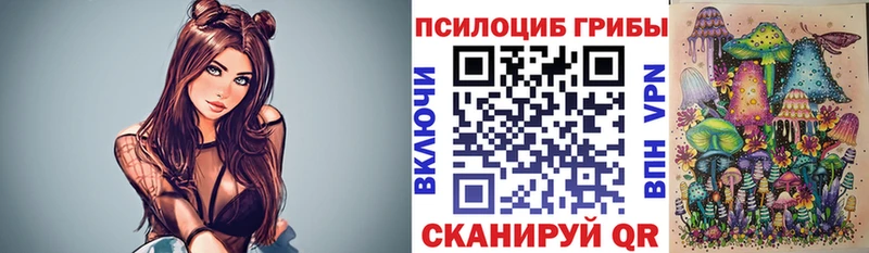 Псилоцибиновые грибы прущие грибы  наркота  гидра   Белгород 