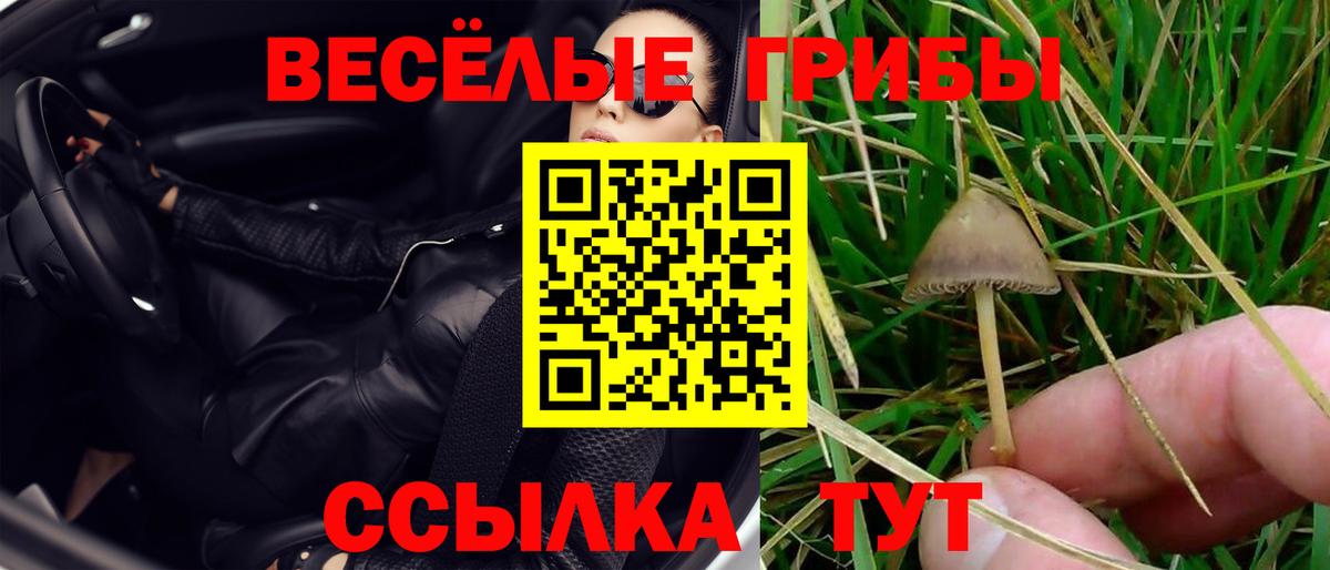 где продают   Галлюциногенные грибы ЛСД  Белгород  Вход с VPN  Псилоцибиновые грибы GOLDEN TEACHER 