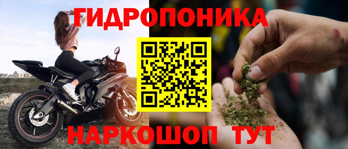 Конопля гибрид Белгород